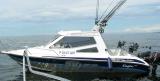 star-cabin-eagle.jpg