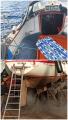 20260514_152601-COLLAGE.jpg