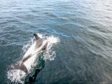 DSC00444-2_Resize.jpg