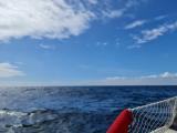20260605_143041_Resize.jpg