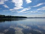 20260805_163049.jpg