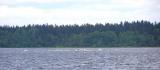 02_P1012723.jpg