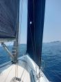 IMG_20250614_142535_6551.jpg